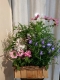 Jardin fleuri - 1